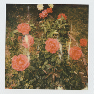 黄色露骨视频在线免费观看
