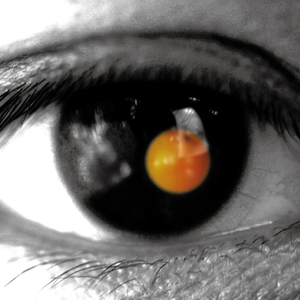 黄色露骨视频在线免费观看
