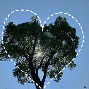 黄色露骨视频在线免费观看
